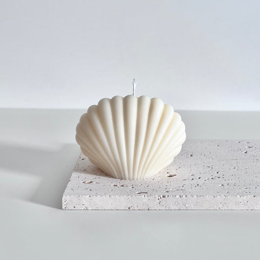 Seashell