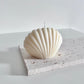 Seashell